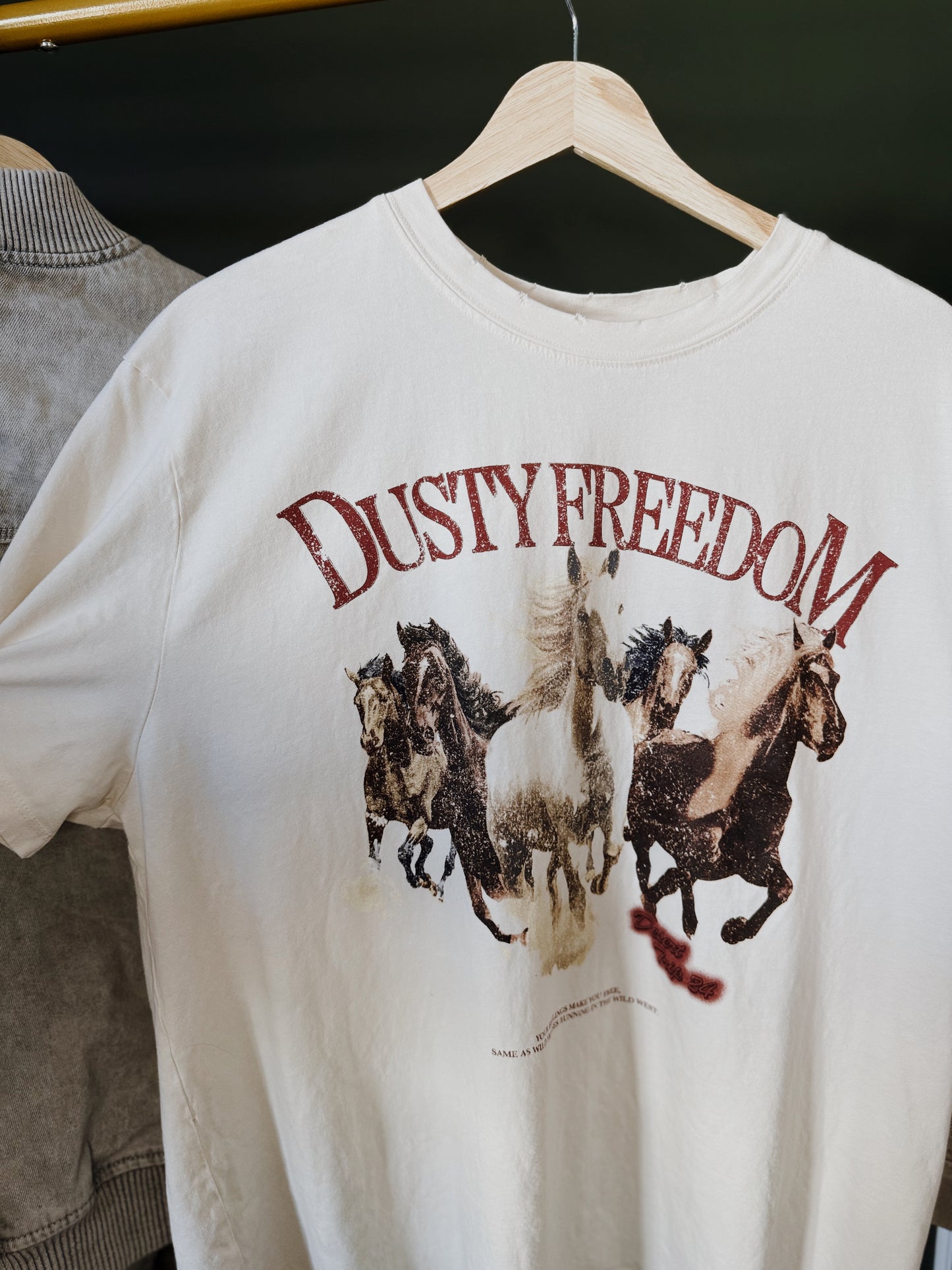 Dusty Freedom Oversized Tee ( Thrifted Zara)